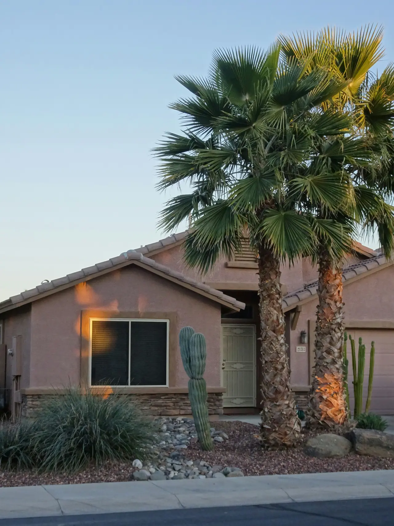 Clean Phoenix home exterior framed by palm trees at dusk